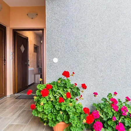 Апартаменти Stela Пореч